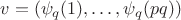 $v = (\psi_q(1),\ldots,\psi_q(pq))$ $v = (\psi_q(1),\ldots,\psi_q(pq))$