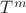 $T^m$