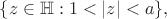 $\{z\in {\Bbb H}: 1<|z|<a\},$