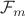 $\mathcal{F}_m$