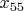 $x_{55} $