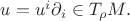 $u=u^i\partial_i\in T_\rho M.$