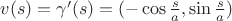 $v(s)=\gamma'(s)=(-\cos\frac s a, \sin\frac s a)$
