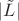 $|\tilde L|$