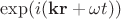 $\exp(i(\mathbf{kr}+\omega t))$