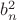 $b_n^2$