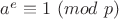 $a^e\equiv 1\ (mod\ p)$