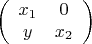 $$\left(\begin{array}{cc}x_1&0\\y &x_2\end{array}\right)$$