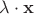 $\lambda \cdot \mathbf{x}$