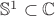 $\mathbb{S}^1\subset\mathbb{C}$