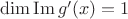 $\operatorname{dim} \operatorname{Im} g'(x) = 1$