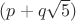 $(p+q\sqrt{5})$