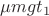 $\mu m g t_1$