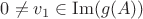 $0 \neq v_1 \in \operatorname{Im}(g(A))$