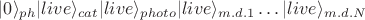 $|0\rangle_{ph}|live\rangle_{cat}|live\rangle_{photo}|live\rangle_{m.d. 1}\dots|live\rangle_{m.d. N}$