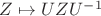 $Z\mapsto UZU^{-1}$