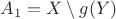 $A_1 = X\setminus g(Y)$