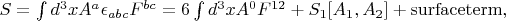 $S=\int d^3x A^a\epsilon_{abc}F^{bc}=6\int d^3x A^0F^{12}+S_1[A_1,A_2]+{\rm surface term},$