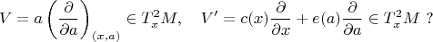 $$V =  a \left(\frac{\partial}{\partial a} \right)_{(x,a)} \in T^2_xM, \quad 
V' =  c(x)  \frac{\partial}{\partial x} + e(a)  \frac{\partial}{\partial a}  \in T^2_xM \ ? $$