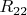 $R_{22}$