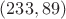 $(233,89)$
