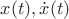 $x(t), \dot x(t)$