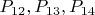 $P_{12},P_{13},P_{14}$