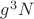 $g^3 N$