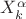 $X_{k}^{\alpha }$