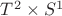 $T^2\times S^1$