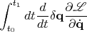 $\displaystyle\int_{t_0}^{t_1}dt\dfrac{d}{dt}\delta\mathbf{q}\dfrac{\partial\mathscr{L}}{\partial\dot{\mathbf{q}}}$