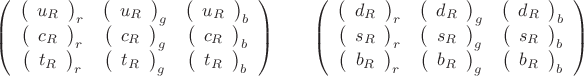 $$\left(\begin{array}{ccc}\left(\begin{array}{c}u_R\end{array}\right)_r&\left(\begin{array}{c}u_R\end{array}\right)_g&\left(\begin{array}{c}u_R\end{array}\right)_b\\\left(\begin{array}{c}c_R\end{array}\right)_r&\left(\begin{array}{c}c_R\end{array}\right)_g&\left(\begin{array}{c}c_R\end{array}\right)_b\\\left(\begin{array}{c}t_R\end{array}\right)_r&\left(\begin{array}{c}t_R\end{array}\right)_g&\left(\begin{array}{c}t_R\end{array}\right)_b\end{array}\right)\qquad \left(\begin{array}{ccc}\left(\begin{array}{c}d_R\end{array}\right)_r&\left(\begin{array}{c}d_R\end{array}\right)_g&\left(\begin{array}{c}d_R\end{array}\right)_b\\\left(\begin{array}{c}s_R\end{array}\right)_r&\left(\begin{array}{c}s_R\end{array}\right)_g&\left(\begin{array}{c}s_R\end{array}\right)_b\\\left(\begin{array}{c}b_R\end{array}\right)_r&\left(\begin{array}{c}b_R\end{array}\right)_g&\left(\begin{array}{c}b_R\end{array}\right)_b\end{array}\right)$$