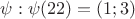 $\psi : \psi (22) = (1;3)$