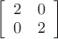 $\left[\begin{array}{cc}
2 & 0\\
0 & 2\end{array}\right]$
