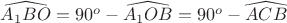 $\widehat{A_1 B O} = 90^o - \widehat{A_1 O B}= 90^o - \widehat{ACB}$