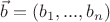 $\[\vec b = ({b_1},...,{b_n})\]$