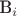 B_{i}$