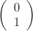 $\left(
  \begin{array}{c}
    0\\
    1\\
  \end{array}
\right)
  $