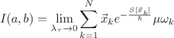 $$ I(a,b)= \lim\limits_{\lambda_\tau \to 0} \sum\limits_{k=1}^N \vec x_k e^{- \frac{S[\vec x_k]}{\hbar} } \mu \omega_k $$