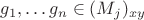 $g_1,\dots g_n\in (M_j)_{xy}$