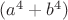 $(a^4+b^4)$