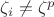 $\zeta_i\neq \zeta^p$
