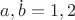 $a,\dot{b}=1,2$
