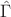 $\hat{\Gamma}$