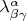 $\lambda^\alpha_{\beta\gamma}$