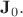 $\mathbf{J}_0.$