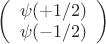 $
\left( \begin{array}{cc} \psi (+1/2)  \\
 \psi (-1/2) \end{array} \right)$