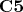 $\mathbf{C5}$