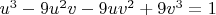 ${{u}^{3}}-9{{u}^{2}}v-9u{{v}^{2}}+9{{v}^{3}}=1$