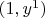 $(1,y^1)$